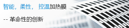 广东力王新材料有限公司加热片,电热膜,加热元件 热管理解决方案